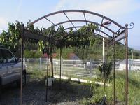 PERGOLAS